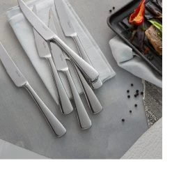 Robert Welch Malvern Bright Steak Knife - Set Of 4 -Kitchen Sale Store images 2F38256 4