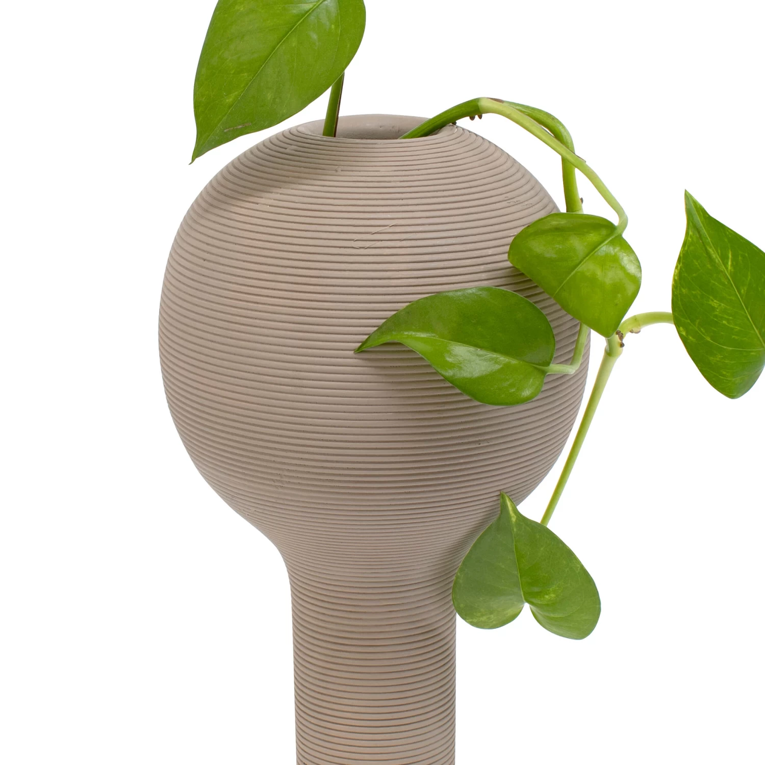 Orga Vase 12 X 22cm - Fawn 4 Orga Vase 12 X 22cm - Fawn - Image 4