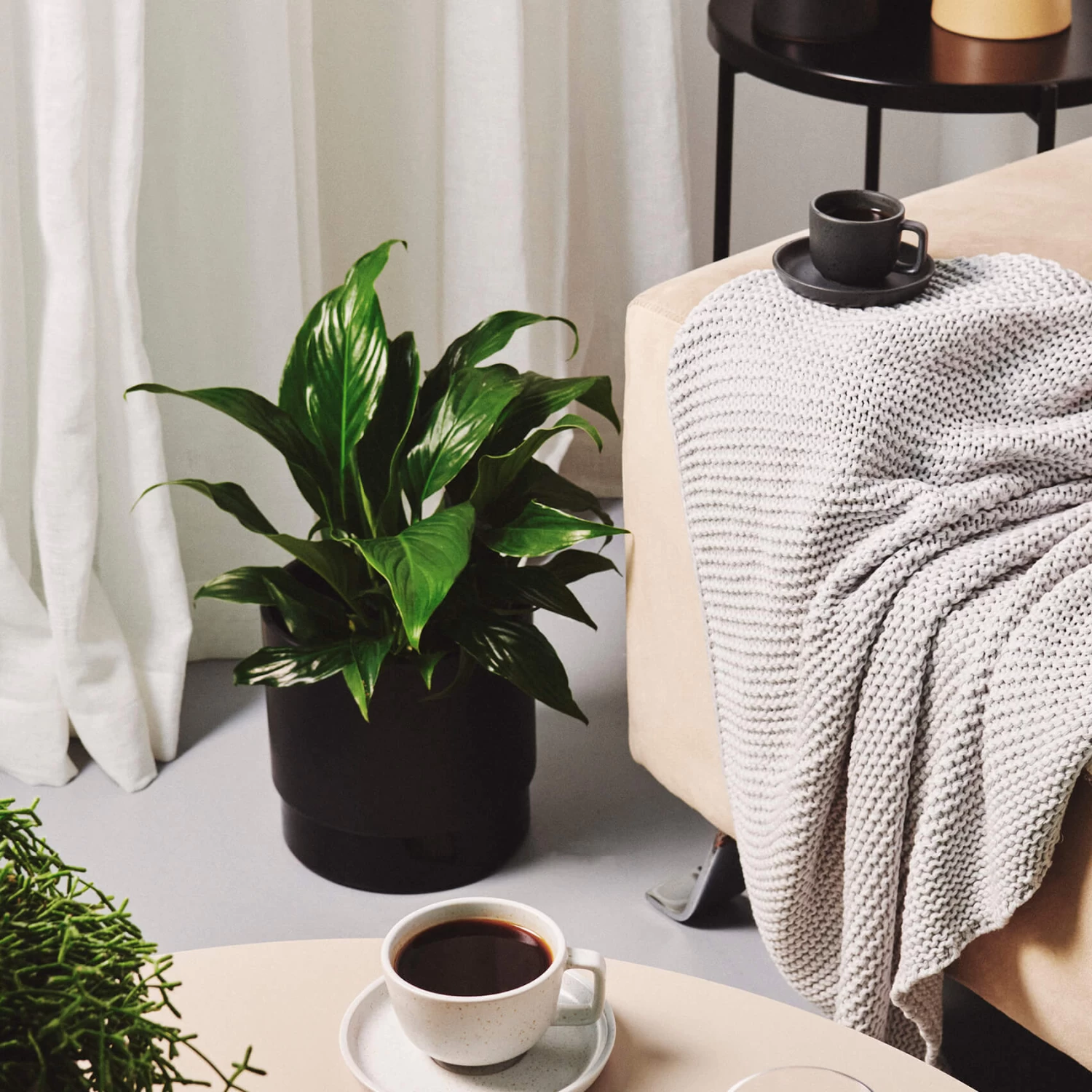 Industry Planter 22 X 22cm - Tortilla 2 Industry Planter 22 X 22cm - Tortilla - Image 2