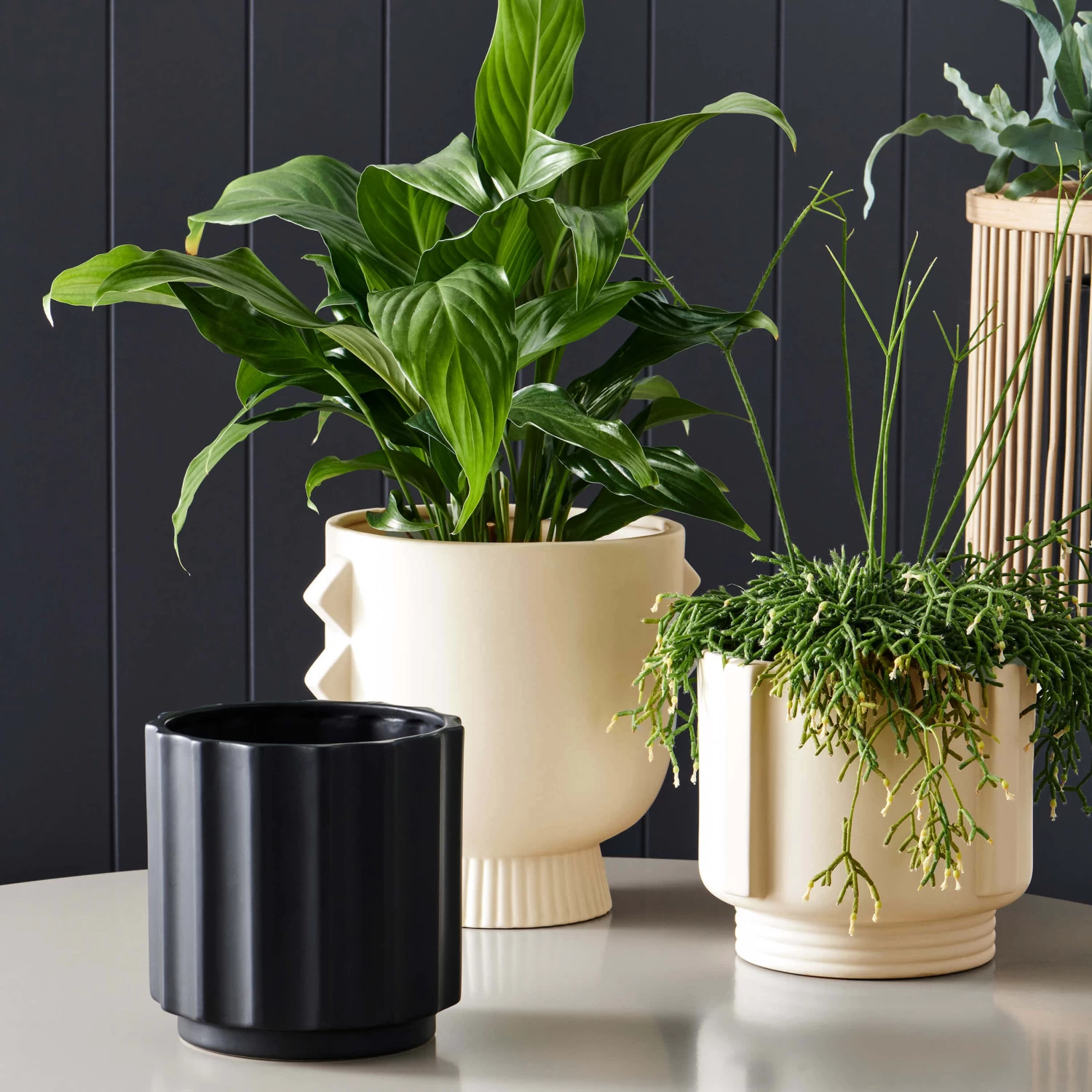 Token Planter 18 X 18cm - Stone 5 Token Planter 18 X 18cm - Stone - Image 5