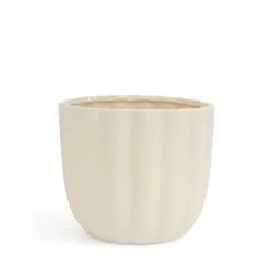Kimba Planter 20 X 17cm - Antique White