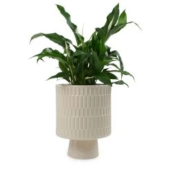 Kendall Planter 20 X 26cm - Stone