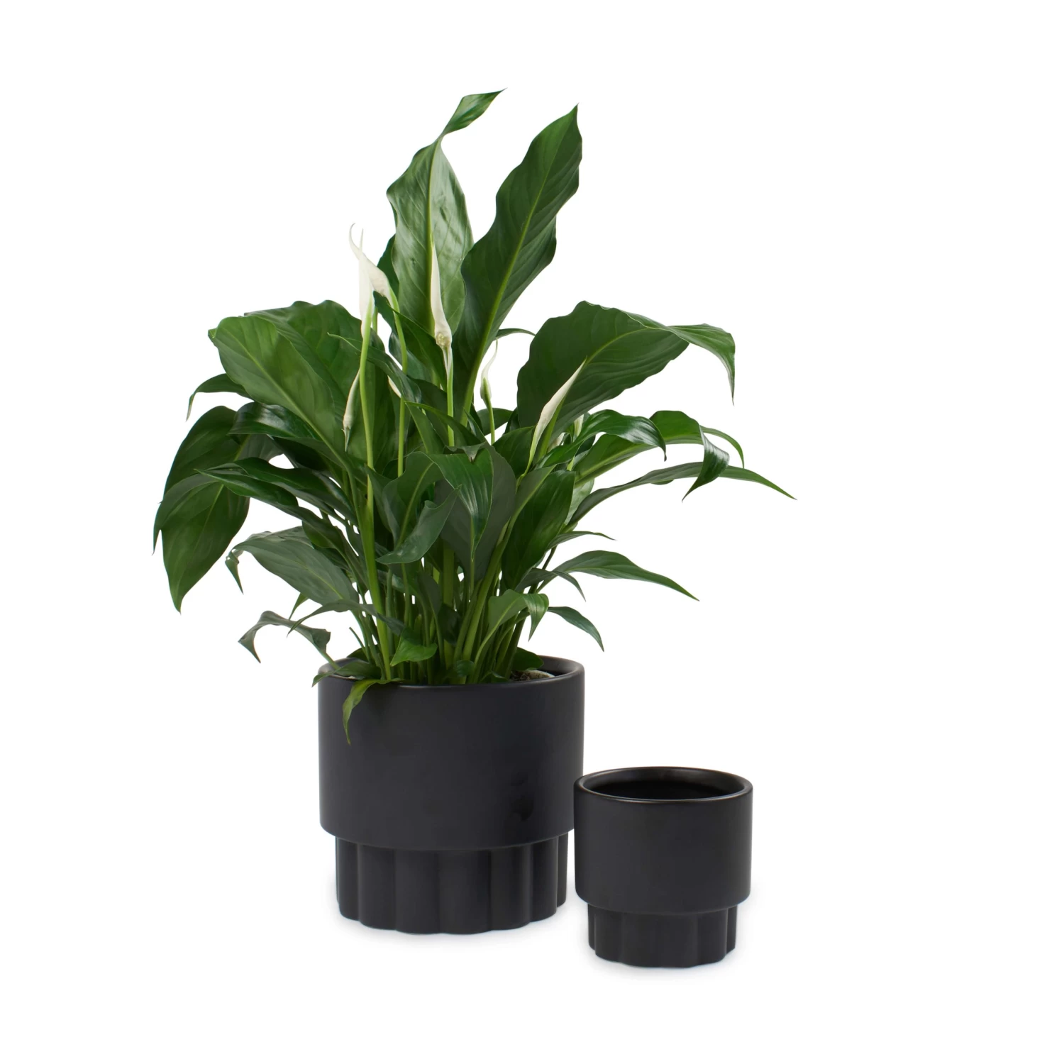 Ryan Planter - 2 Piece - Black 1 Ryan Planter - 2 Piece - Black