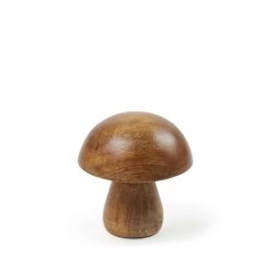 Amber Mushroom 10 X 10cm