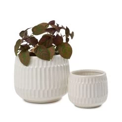 Eloise Planter - 2 Piece - White